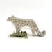 see more listings in the wild animals section