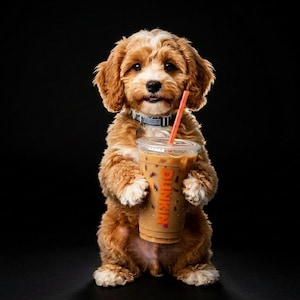 Könnte beinhalten: Ein braun-weißes Cavapoo-Welpen steht aufrecht und hält einen großen Eiskaffee von Dunkin' in seinen Pfoten. Der Kaffeebecher hat einen roten Strohhalm und das Dunkin'-Logo. Der Hund trägt ein blaues Halsband vor schwarzem Hintergrund.