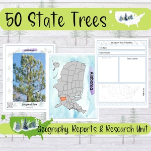 50 States Trees Reports and Learning Guide Printable with QR Codes for Nature Study and Geography in Homeschools or Classrooms!