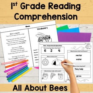First Grade Reading Comprehension Passage: Bees