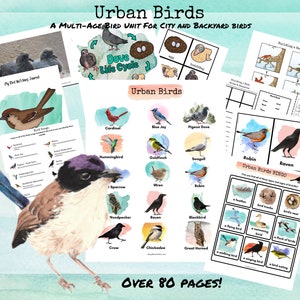 Urban Birds Unbit Study for Homeschool and Classroom - Digital Printable Unit Nature Based Learning