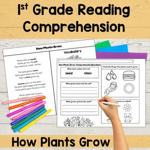 First Grade Reading Comprehension Passage: How Plants Grow