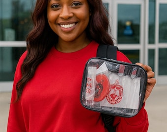 Delta clear TSA approved accessory bag
