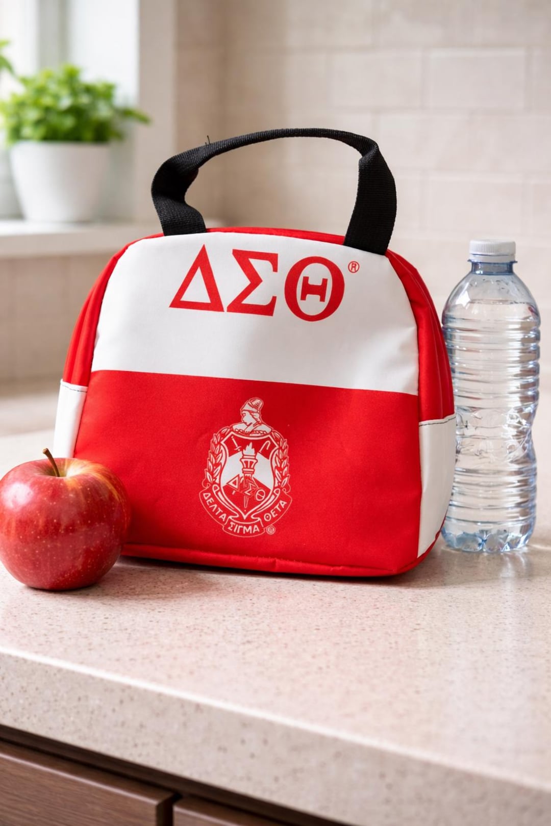 Delta Sigma Theta Insulated Lunch Bag – Red & White Greek Tote - Etsy