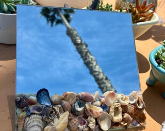 Handmade Seashell Mirror | Coastal Beach Wall Art, Ocean-Inspired Vanity Mirror