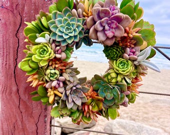 Succulente buitenmuurdecoratie - handgemaakte krans