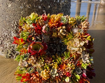 Vierkante sappige krans