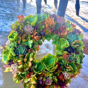 Succulent Wreath - Etsy