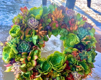 Lush Round Succulent Wreath  Vibrant Living Door Decor