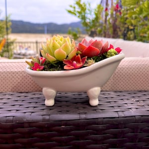 Bathtub Planter - Etsy