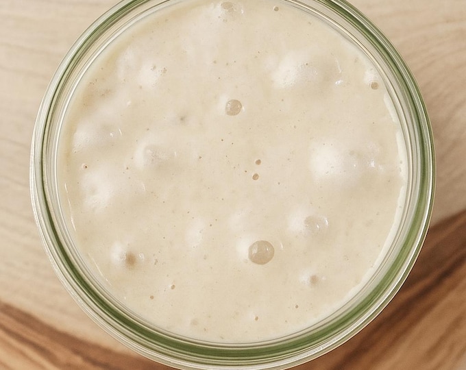 Sweet Sourdough Starter: Herman Organic Heirloom, Appalachian Wildwood, Vintage Dairy Starter