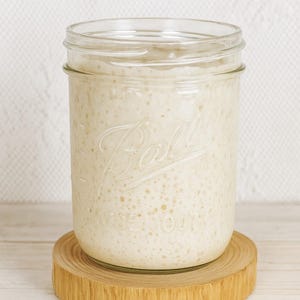200-Year-Old Heritage Organic Sourdough Starter | Appalachia Wildwood | Fuss-Free, No Daily Feeding, No Discard