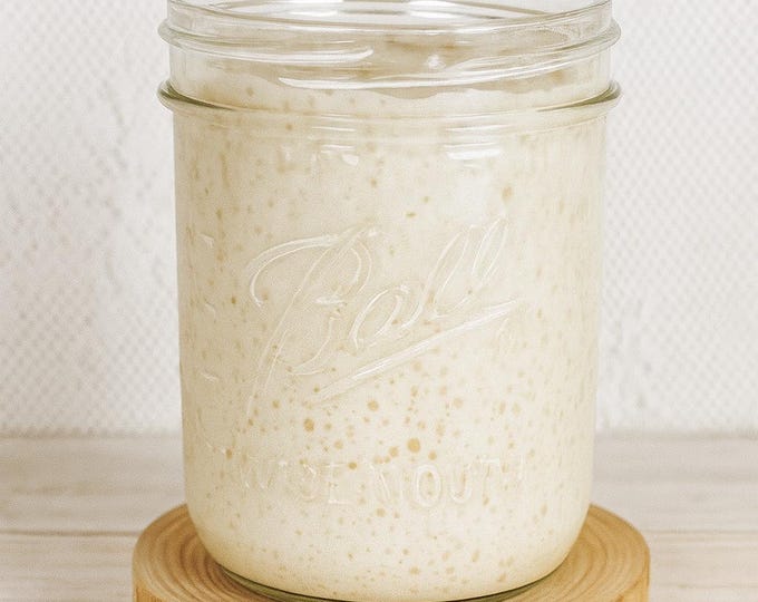 Herman Organic Sweet Sourdough Starter | Appalachia Wildwood | Perfect for Sweet Fermented Bread & Cakes