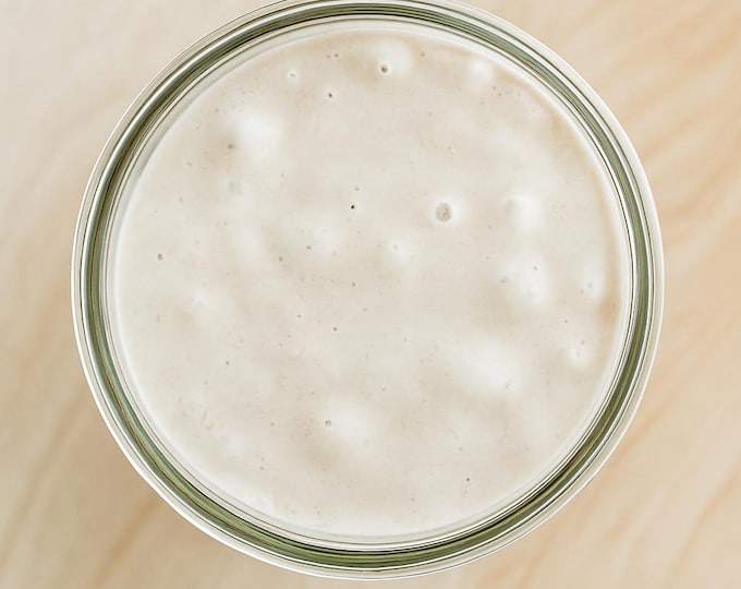 200-Year-Old Organic Sourdough Starter: Appalachia Heritage Dairy Recipe
