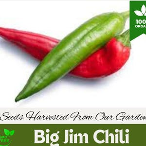 以下が含まれることがあります： Ms. Yancy's GardenのBig Jim Chili唐辛子の種子の画像。鮮やかな緑色の唐辛子と赤色の唐辛子が特徴で、100％オーガニックでGMOフリーであることを示すテキストがあります。「Seeds Harvested From Our Garden」というテキストもあります。