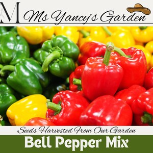 Mix di semi di peperoni - Varietà colorata non OGM, facile da coltivare, dolce e croccante