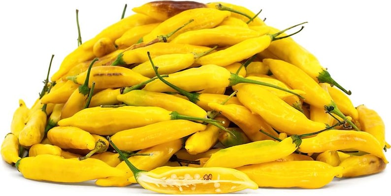 MsYancyNetworkCo Lemon Drop Pepper Seeds