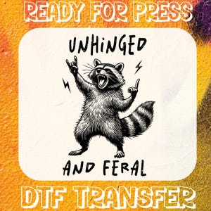Sarcastic Funny Raccoon Ready to Press, Funny Feral DTF Transfer, Unhinged and Feral T-shirt Transfer, Sarcastic Heat Dtf, Retro Raccoon Dtf