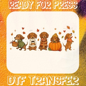 May include: A DTF transfer print featuring five brown dachshunds in autumn attire. The dogs are depicted with a basket of pumpkins, a coffee cup, a plaid scarf, a yellow knit hat on a pumpkin, and an orange bandana, surrounded by fall leaves.
