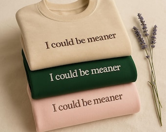 Embroidered Sarcastic Sweatshirt: "I Could Be Meaner" Weirdcore Gift