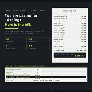 May include: A digital subscription and bill audit template on a dark background. It features a list titled Annual True Cost with various services and prices, a summary of 14 items, 60 ledger rows, and a calculation table showing annual dollars freed.