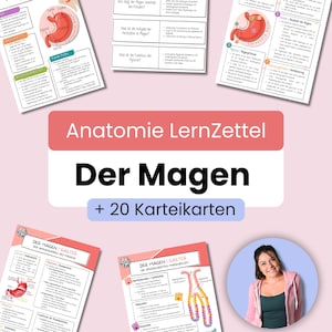 Magsäcken | Anatomistudieblad | Tyska | 4 studieblad + 20 bildkort | Inkluderar gratis mallar | PDF-nedladdning | Medicinskt läromedel