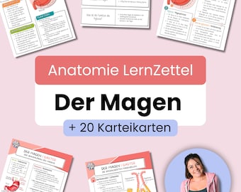 El estómago | Hojas de trabajo de anatomía | Alemán | 4 hojas de trabajo + 20 tarjetas didácticas | Incluye plantillas gratuitas | Descarga PDF | Material didáctico médico