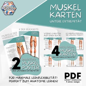 Anatomie Lernkarten | Muskeln der unteren Extremität - mit & ohne Beschriftung zum selbst Ausfüllen - PDF Download - Medizin Lernmaterial