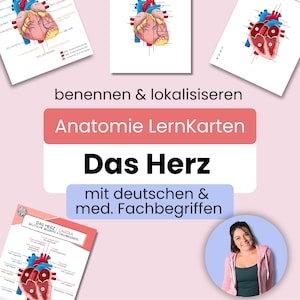 Tarjetas de anatomía "El corazón" | 2 tarjetas con 4 variantes | Términos alemanes y técnicos | Incluye una versión en blanco gratuita | Medicina