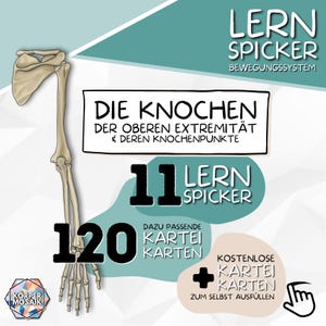 Aide-mémoire d'apprentissage de l'anatomie « Os des membres supérieurs » | 11 aide-mémoire d'apprentissage + 120 flashcards | Téléchargement PDF | Matériel d'apprentissage en médecine, soins infirmiers, physiothérapie