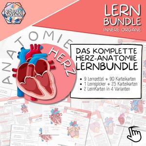 Op de afbeelding: Een roze en witte afbeelding met de tekst "Anatomie Hart Lernbundle" en een gedetailleerde illustratie van het menselijk hart. De afbeelding bevat een lijst met leermiddelen die in de bundel zijn opgenomen: 9 leerbladen, 90 flashcards, 1 spiekbriefje, 25 flashcards en 2 leerkaarten in 4 varianten.