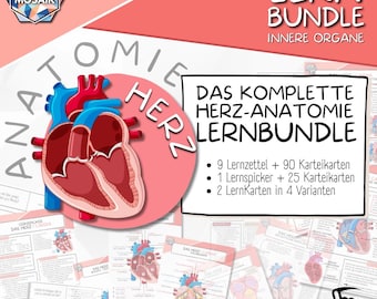 Cardiac Anatomy Complete Set | Study Notes, Cheat Sheets & Flashcards as a Learning Bundle for Medical Studies, Nursing and Physiotherapy | PDF Download