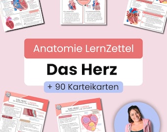 El corazón | Fichas de anatomía | Alemán | 9 fichas + 90 fichas didácticas | + Plantillas gratuitas | Descarga PDF | Medicina, enfermería, fisioterapia