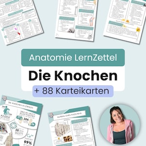 Die Knochen | Anatomie LernZettel | deutsch | 9 LernZettel + 88 KarteiKarten | + Vorlagen | PDF Download | Medizin Physiotherapie Pflege
