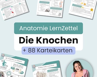 Huesos | Hojas de estudio de anatomía | Alemán | 9 hojas de estudio + 88 tarjetas didácticas | + Plantillas | Descarga en PDF | Medicina, Fisioterapia, Enfermería