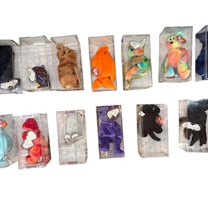 Może przedstawiać: Kolekcja pluszowych zabawek Beanie Babies w przezroczystych plastikowych gablotach. Kolekcja zawiera różne wzory zwierząt w różnych kolorach, takich jak niebieski, pomarańczowy i tęczowy, każdy z metką. Słowo "BEANS" jest widoczne na niektórych gablotach.