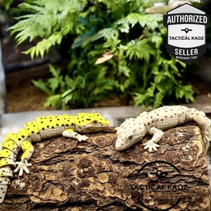 May include: Two articulated lizard figurines resting on a textured log. The left lizard is bright yellow with black spots, while the right lizard is off-white with light brown spots. Both feature segmented bodies and detailed scales.