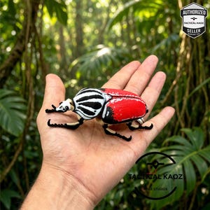 Articulated Goliath Beetle, 3D Printed Flexi Insect Figurine, 11.5 cm