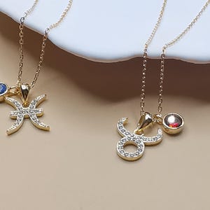 Zircon Horoscope Necklace: Gold Plated Sterling Silver Zodiac Pendant