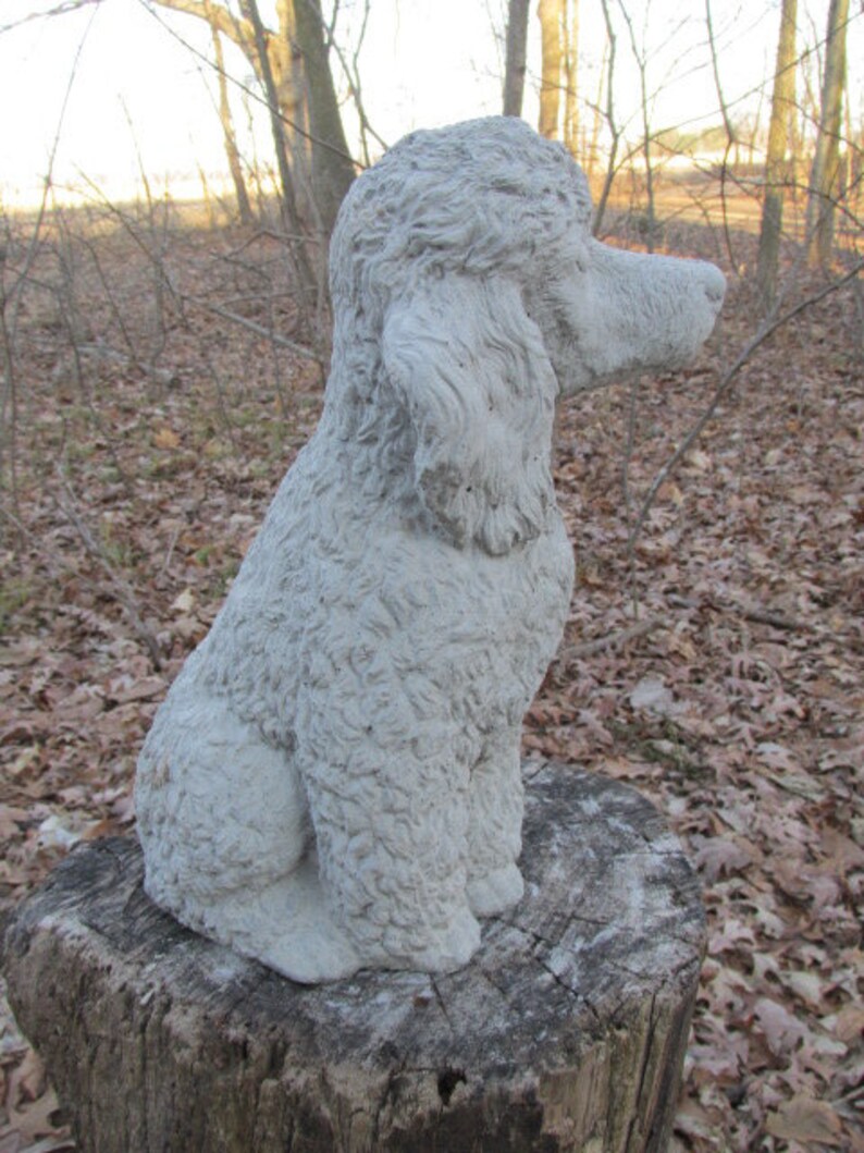 12 Tall Cement Poodle Dog Garden Art Concrete Statue Etsy