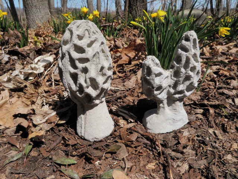 Realistic Cement Morel Mushroom Lot of 2 Garden Art Concrete | Etsy