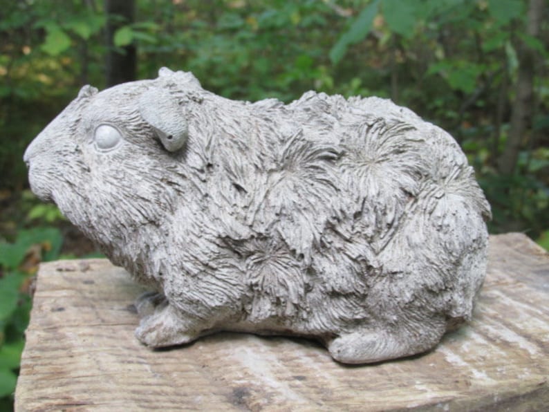 6 1/2 Long Cement Guinea Pig Garden Art Statue Concrete Etsy