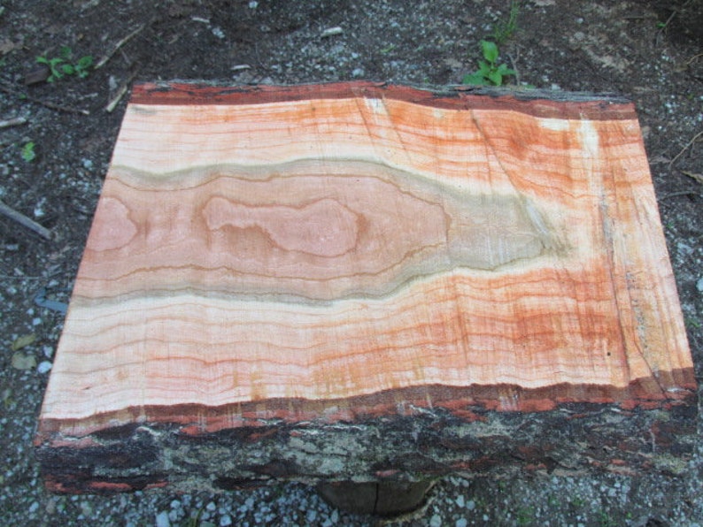 Wild Cherry Wood 18 x14 1/216 x 1 1/2 Thick Fresh Cut Etsy