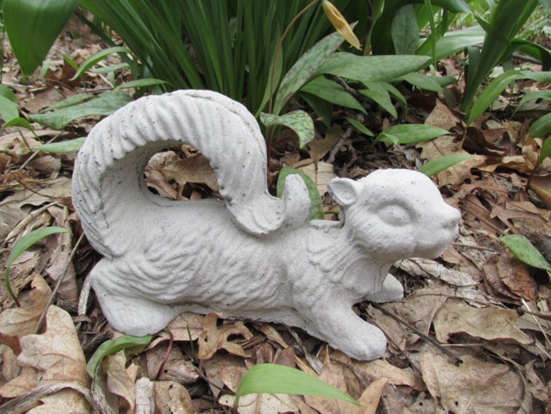 5 1/2 Long Cement Squirrel w/Curled Tail Statue Garden | Etsy