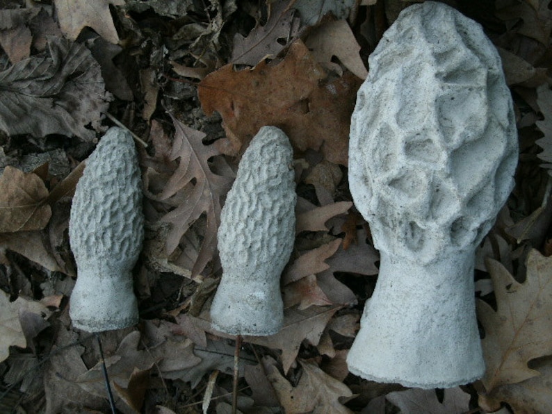 Realistic Cement Morel Mushroom Lot of 3 Garden Art Concrete Etsy