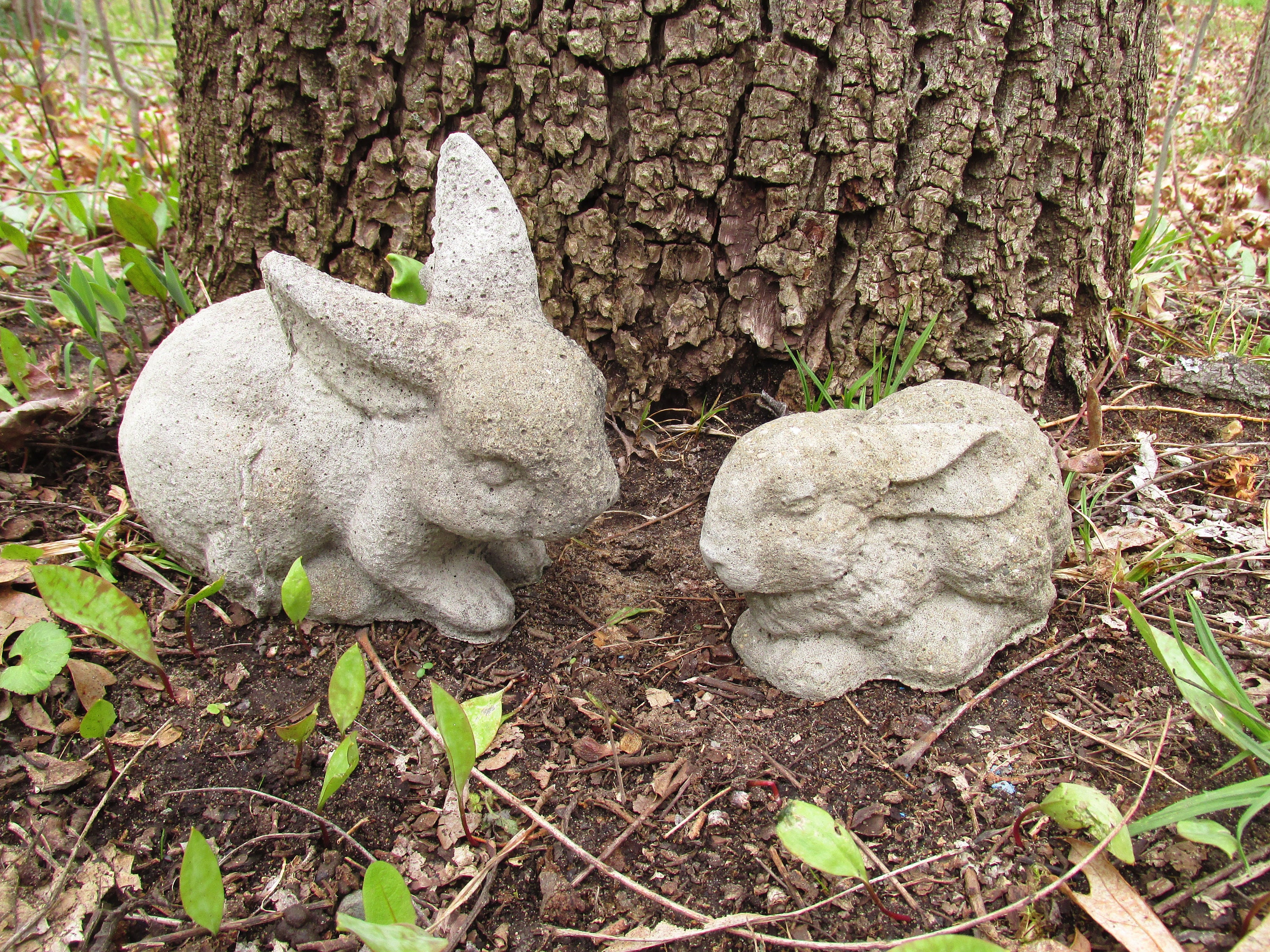 3 1/2 6 1/2 Cement Bunny Rabbit Pair Garden Art Concrete Statue