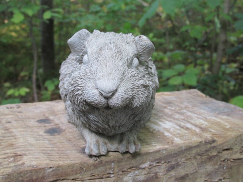 6 1/2 Long Cement Guinea Pig Garden Art Statue Concrete Etsy