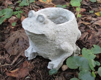 5 1/2" Cement Frog Planter made of Concrete for a Plant or Flower