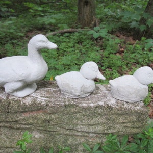 Mini Ducks Silicone Mold - Nature's Garden Candles