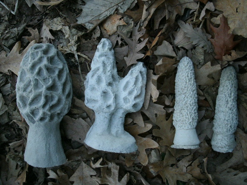 Realistic Cement Morel Mushroom Lot of 4 Garden Art Concrete Etsy